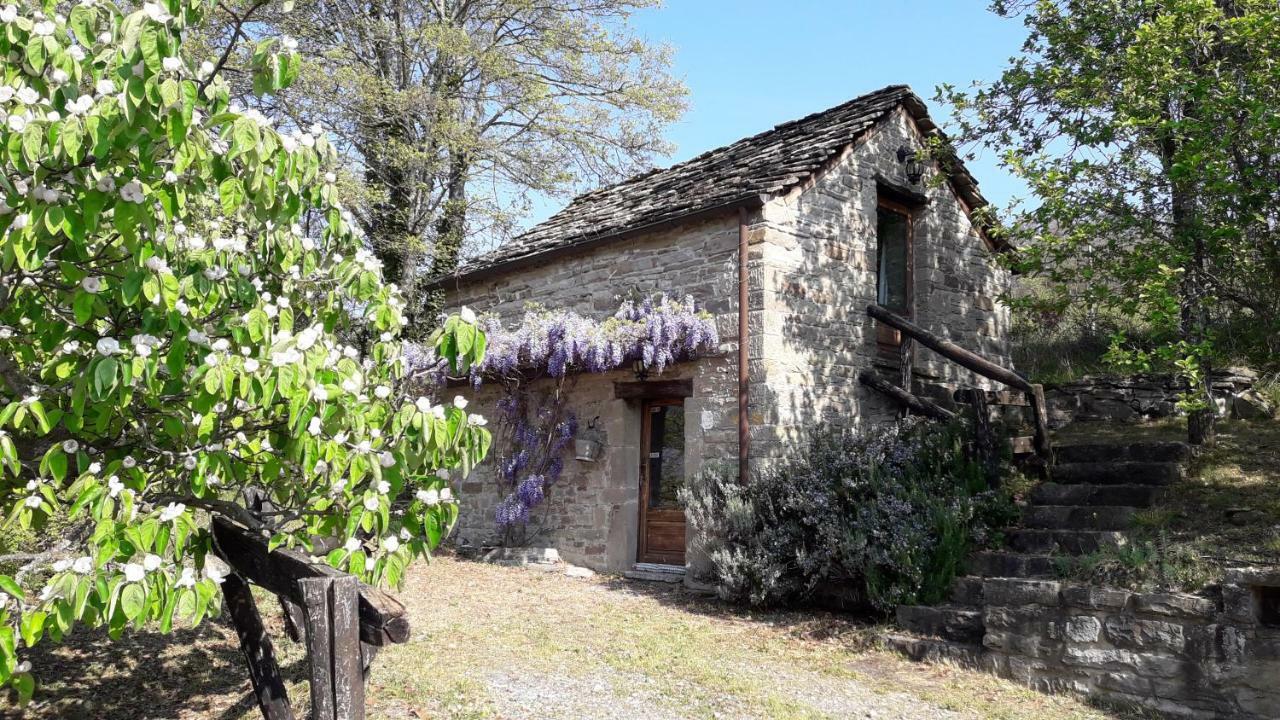 Ca' D'Alfieri Villa Bardi Kültér fotó